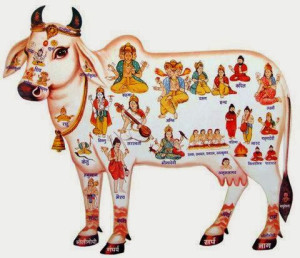 kaamdhenu