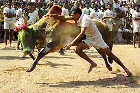 Photo of जल्लीकट्टू : राष्ट्रपति से मिले एआईएडीएम के सांसद.