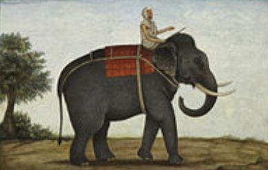 Photo of बसपा के हाथी को गोरखपुर-बस्ती मंडल में भी मिले महावत.