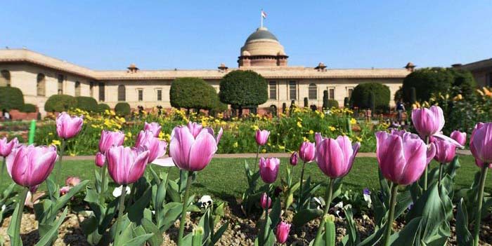 Photo of आमजन के लिए आज से खुला विश्व प्रतिष्ठित मुगल गार्डन.