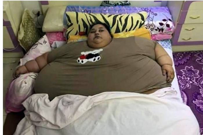 Photo of इलाज के लिए मिस्र से भारत पहुंची 500 किलो वजनी दुनिया की सबसे मोटी महिला , प्लेन से उतारने के लिए लेना पड़ा क्रेन का सहारा .