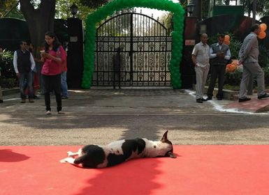 Photo of जीत के हजार पिता, हार की कोई मां नहीं : कुमार विश्वास