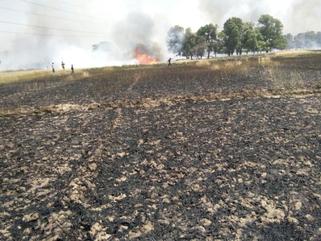 Photo of गेहूं के खेतों में आग का तांडव, बस्ती में पहुंचने का खतरा