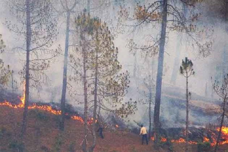 Photo of रियासी के पहाड़ों में लगी आग से वन संपदा को भारी नुकसान
