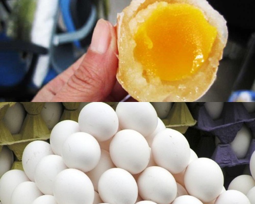 Photo of प्लास्टिक के अंडे के खिलाफ चलाया जा रहा जागरूकता अभियान
