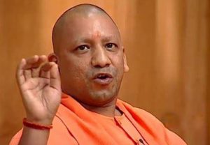 yogi