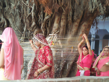 Photo of वट सावित्री अमावस्या पर हुआ वट पूजन