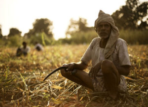 Photo of मंडी नियमन मुक्ति से किसानों के साथ धोखाधड़ी: चव्हाण