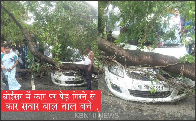 Photo of पालघर जिला : बोईसर में कार पर पेड़ गिरने से कार सवार बाल बाल बचे .