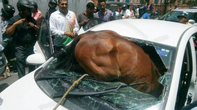 Photo of …..तो इसलिए शीशा तोड़ कार में घुस गया घोडा , ड्राइवर का हुआ ये हाल