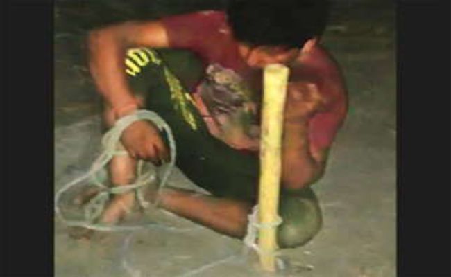 Photo of इस चोर को पकड़ने के चक्कर में चली गई सांप की जान, खूंटे से बांधकर हुई चोर की पिटाई.