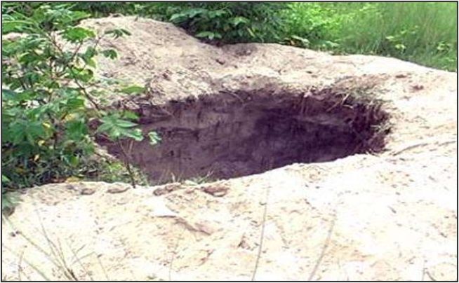Photo of बिहार : कब्रिस्‍तान से हो रहा है  मुर्दों का ‘अपहरण’, कब्र से गायब हो रहीं हैं लाशें.. !