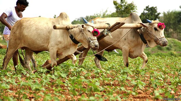 Photo of महाराष्ट्र : किसानों के एक लाख रुपये का कर्ज माफ