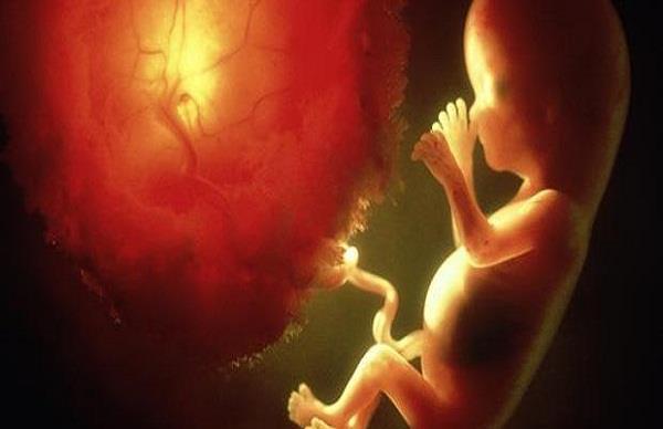 Photo of जाने आखिर क्यों सुप्रीम कोर्ट ने दी 23 हफ्ते के भ्रूण को हटाने की अनुमति