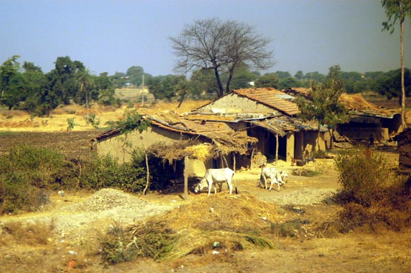 Photo of विकास प्राधिकरण को 115 करोड़ की मंजूरी, अब गांव का होगा विकास