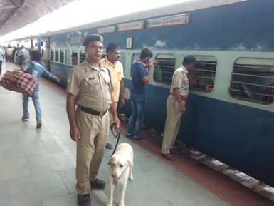 Photo of स्वतंत्रता दिवस के मद्देनजर आरपीएफ नें चलाया विशेष सुरक्षा चेकिंग