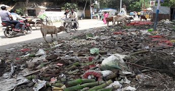 Photo of दुर्गापूजा के पहले ही कचड़ों का ढेर बन गया है पुरुलिया