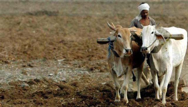 Photo of महाराष्ट्र : कर्जमाफी के लिए 77 लाख से अधिक किसानों ने किया आवेदन