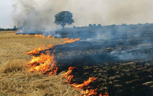 Photo of फसलों की कटाई के बाद अवशेष खेत में जलाने पर लगेगा दण्ड