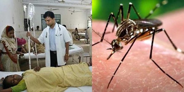 Photo of पुणे में डेंगू का प्रकोप, 3 महीनों में मिले 513 मरीज