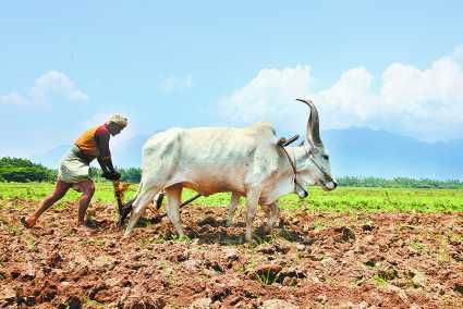 Photo of मौसम में नहीं आ रहा बदलाव, परेशान हो रहे किसान