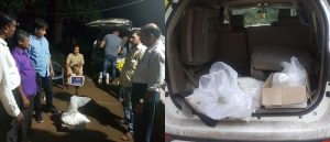 palghar drugs phto