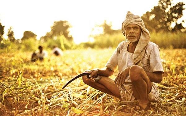 Photo of कर्जमाफी : किसानों के खाते में जमा हुए पैसे जा रहे हैं सरकार के पास