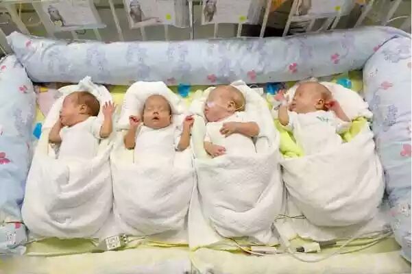 Photo of साढ़े छह माह में ही महिला ने एक साथ चार बच्चों को दिया जन्म , बच्चो में ……..