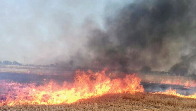 Photo of वर्धा में गन्ने के खेत में शॉट सर्किट से लगी आग, 11 लाख का नुकसान