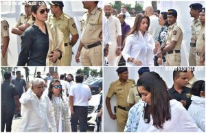 Sridevi-tribute