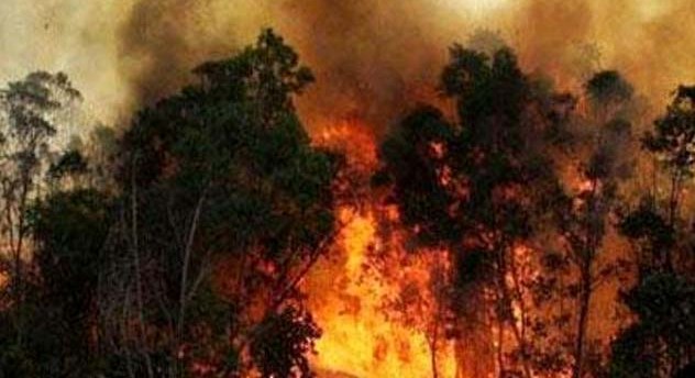 Photo of ऑस्ट्रेलिया के जंगल में लगी भीषण आग , 70 घर जलकर ख़ाक