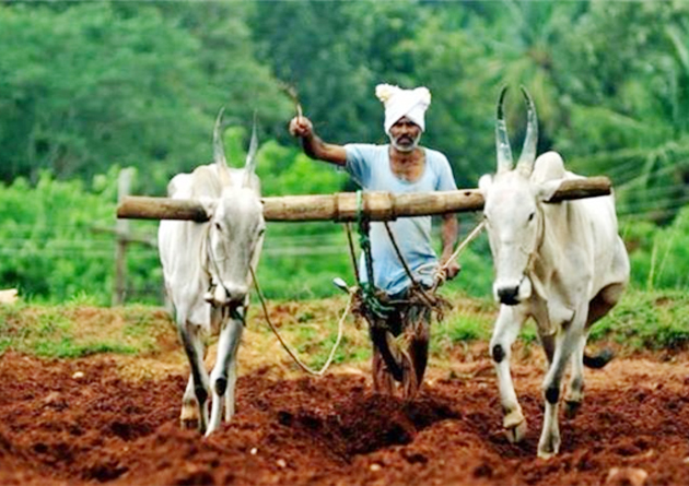 Photo of किसानों की आय दोगुनी करने पर अंतिम रिपोर्ट अगले महीने