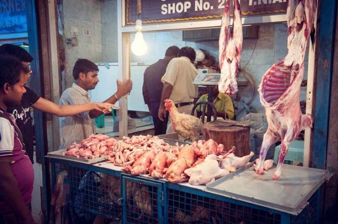 Photo of कोलकाता : चिकन- मटन के नाम पर परोसा जा था रहा कुत्ते और बिल्ली का मांस , छापेमारी के बाद …….