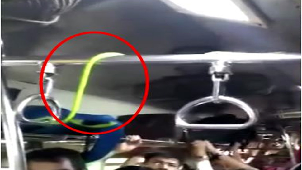 Photo of खचाखच भरी मुंबई की लोकल ट्रेन में अचानक दिखा सांप, फिर जानें क्‍या हुआ