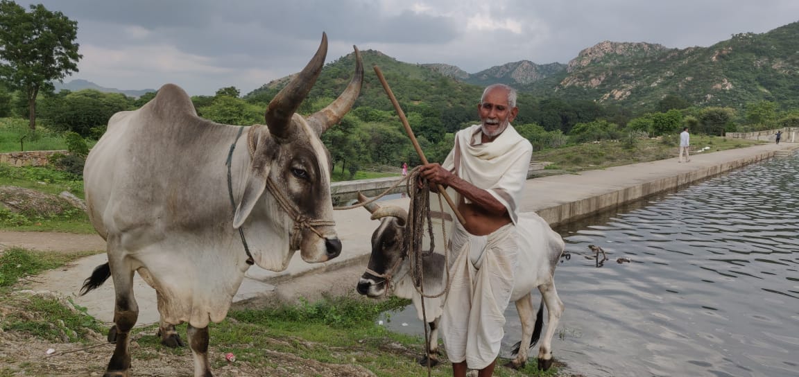 Photo of चार नवंबर को मनायी जाएगी गोपाष्टमी, जाने इसका महत्व