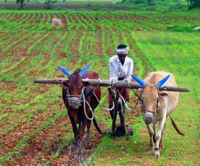 Photo of बाधा मुक्त खेती के बड़े उपाय