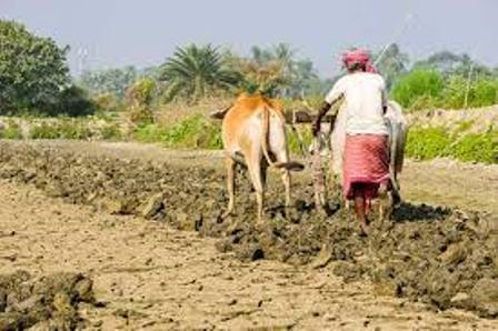 Photo of महाराष्ट्र – सरकार ने किसानों से ‘’पीएम किसान सम्मान निधि’’ का पैसा मांगा वापस ,पालघर के डीएम ने जारी किया फरमान