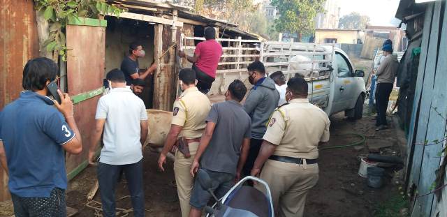 Photo of पालघर – गाय का क़त्ल करने वाले 6 लोगो को पुलिस ने किया गिरफ्तार