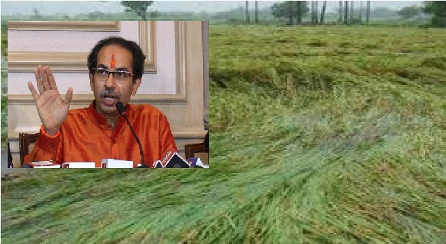 Photo of नैसर्गिक आपदा में सभी किसानों को नुकसान मुआवजा मिलना ही चाहिए- मुख्यमंत्री उद्धव ठाकरे